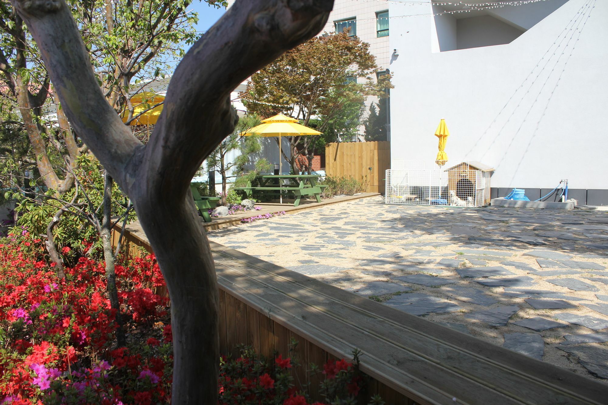 With U Hotel & Guesthouse Sokcho Exteriör bild